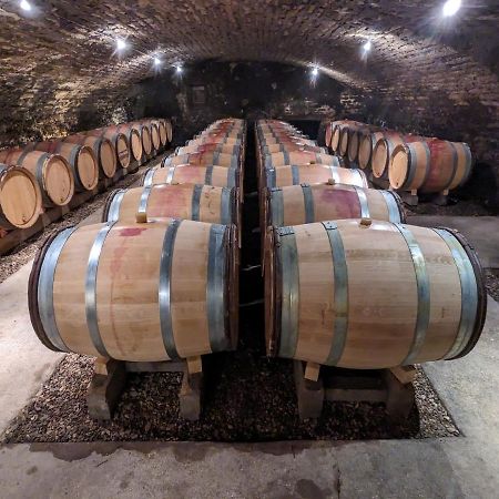 Les Gites De Cour Remond Villers-la-Faye エクステリア 写真