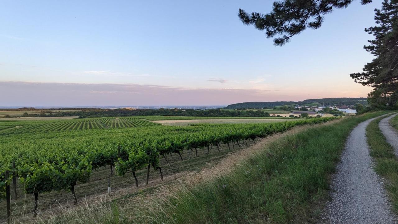 Les Gites De Cour Remond Villers-la-Faye エクステリア 写真